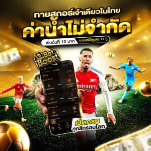 เว็บแทงบอล
